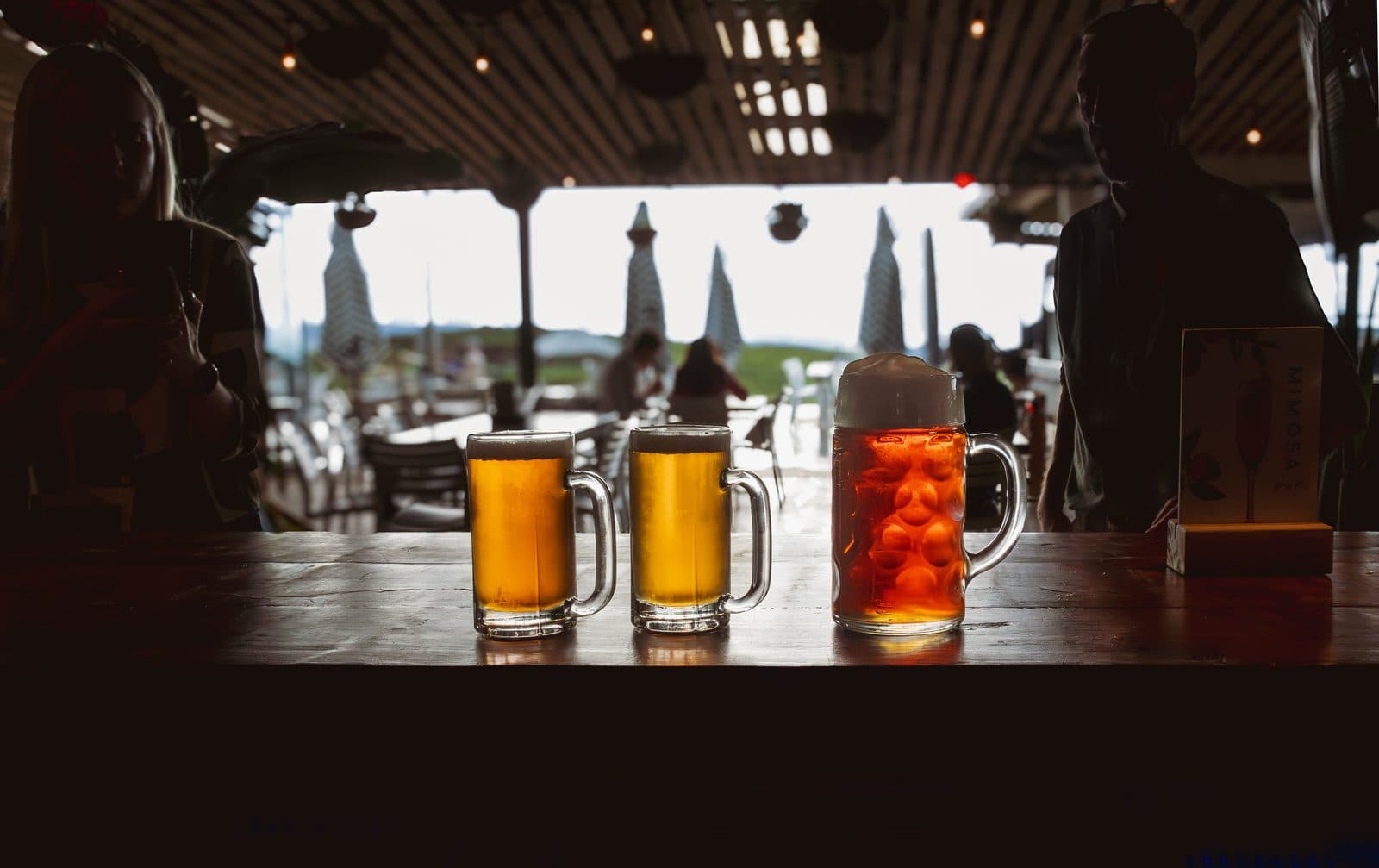 Beer flight at Blueberry Brewery