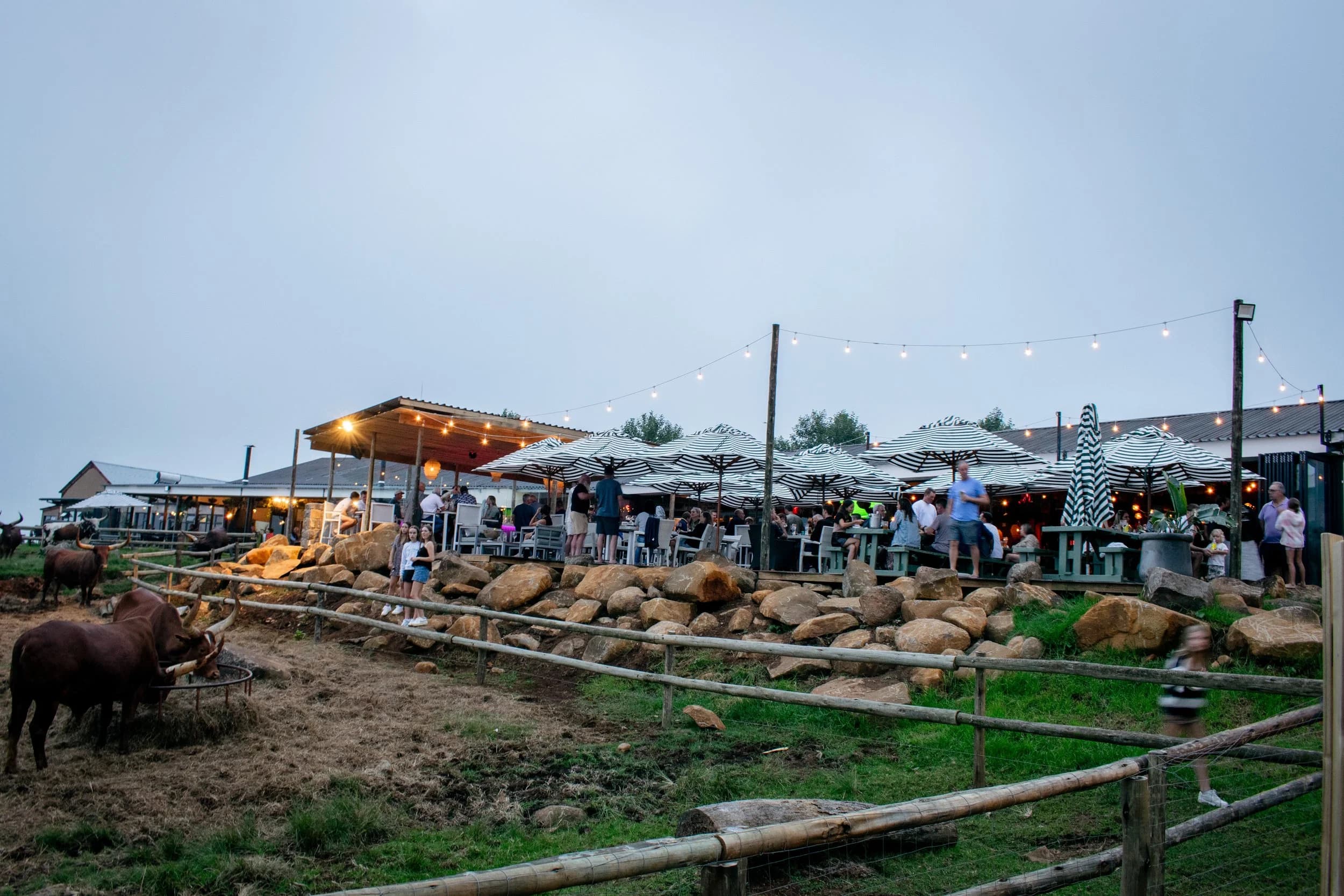 Blueberry Brewery at Netherwood Farm